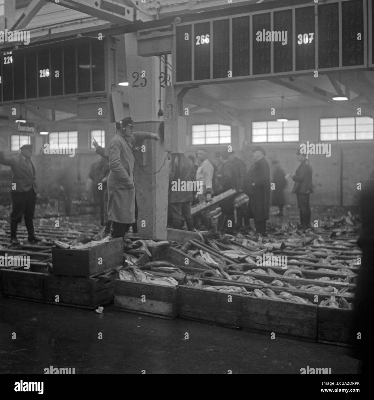 24 Stunden Reportage: Betrieb im Fischereihafen Wesermünde, Deutschland 1930er Jahre. 24 ore la copertura live dal porto di pesca Wesermuende, Germania 1930s. Foto Stock