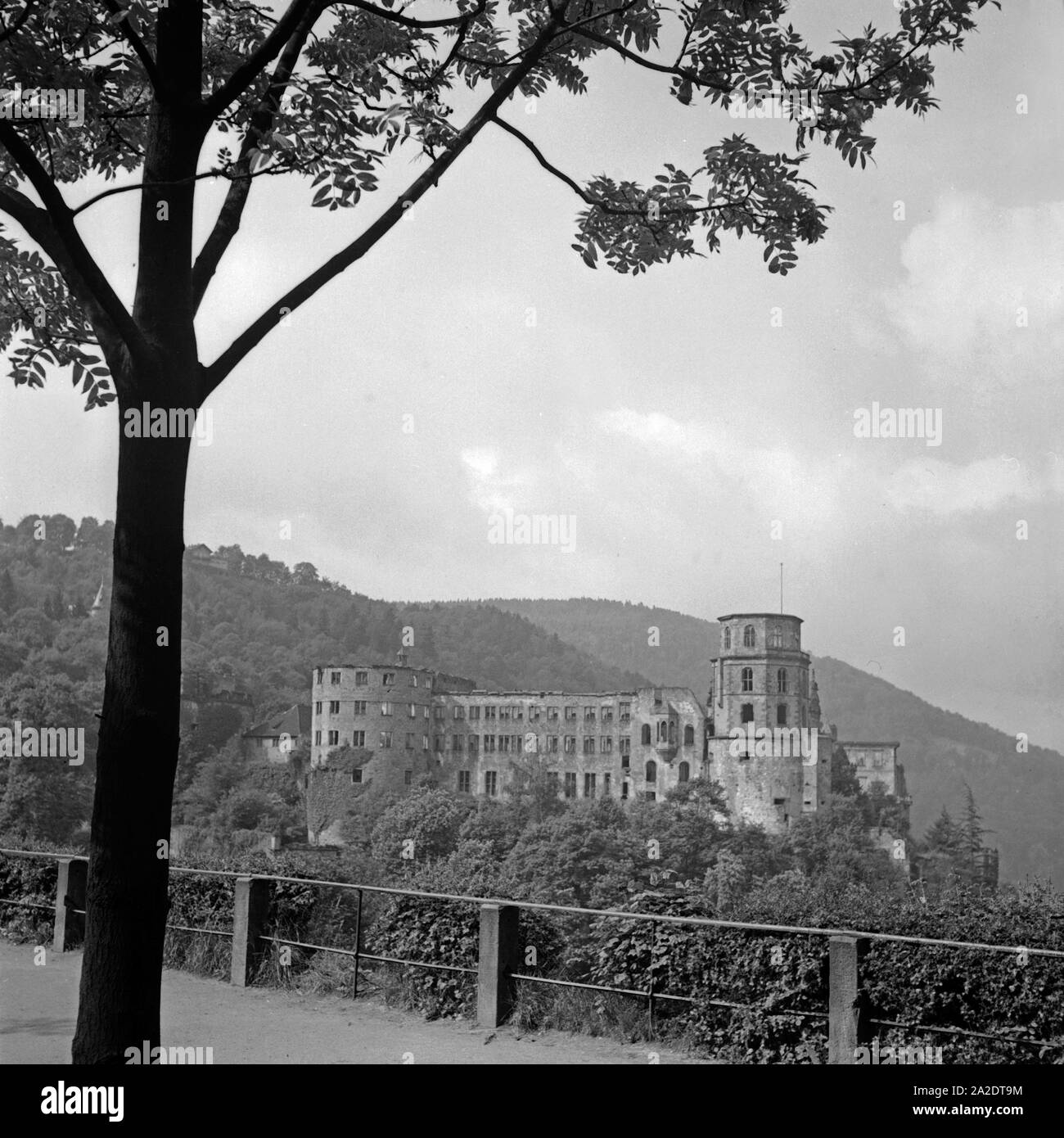 Das Schloss in Heidelberg, auf dem Weg zur großen Scheffelterrasse aus gesehen, Deutschland 1930er Jahre. Castello di Heidelberg, visto dalla strada per le grosse Scheffelterrasse terrazza, Germania 1930s. Foto Stock