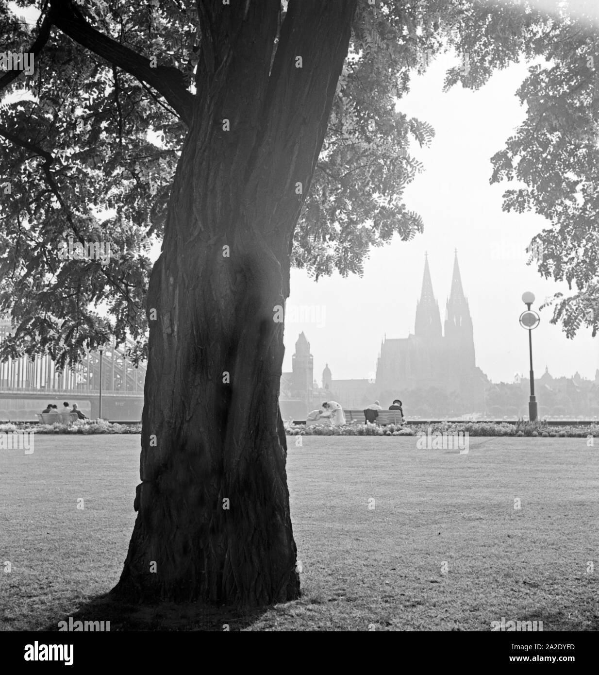 Blick vom Rheinpark auf den Dom zu Köln, 1930er Jahre. Vista dal Rheinpark alla cattedrale di Colonia, 1930s. Foto Stock