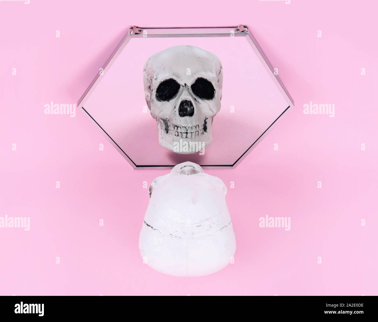 Teschio sul trendy rosa pastello sfondo. Foto Stock