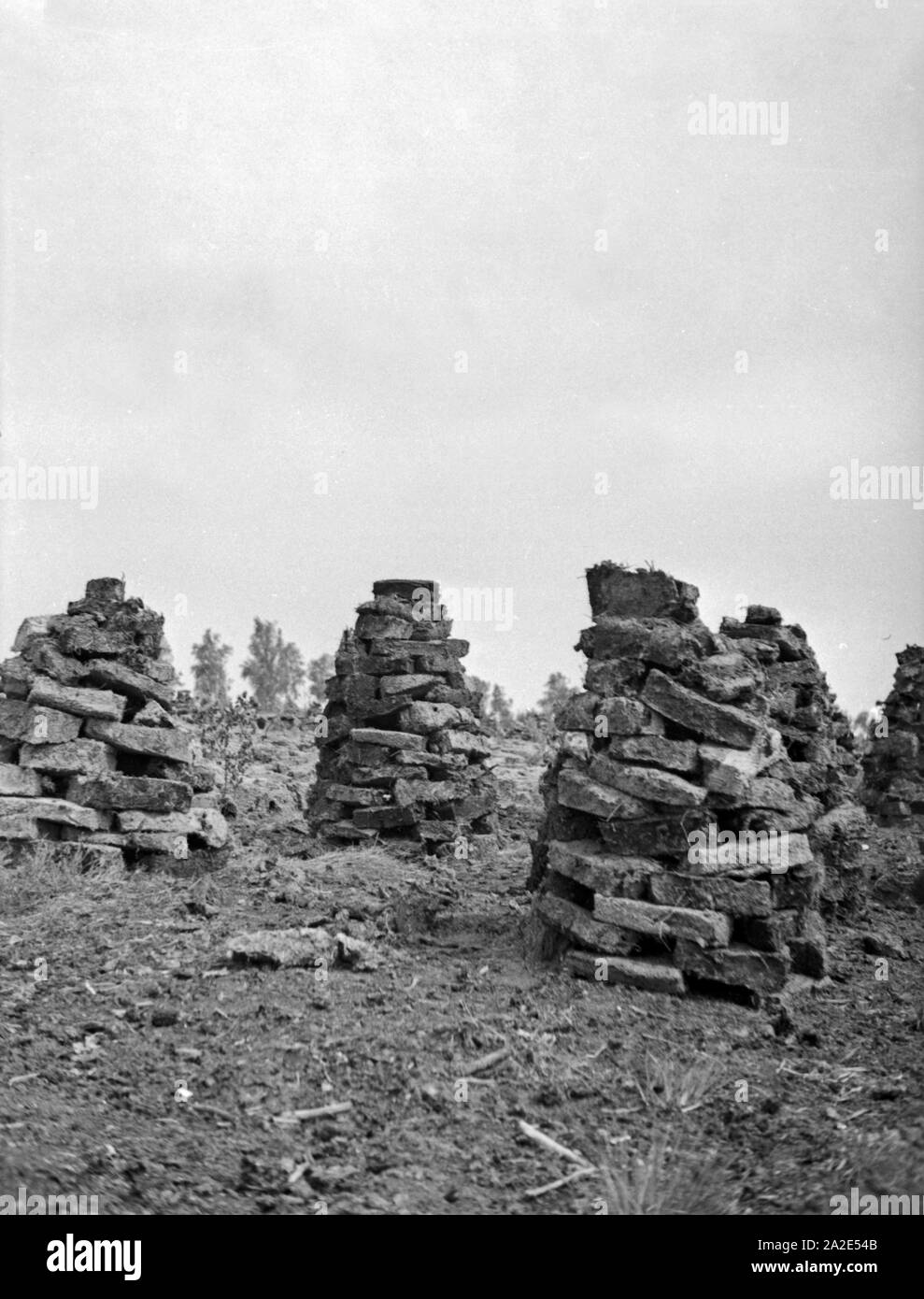 Trocknender Torf vom Großen Moosbruch, Ostpreußen, 1930er Jahre. Tappeto erboso di essiccazione da Grosses Moosbruch brughiera, Prussia orientale, 1930s. Foto Stock