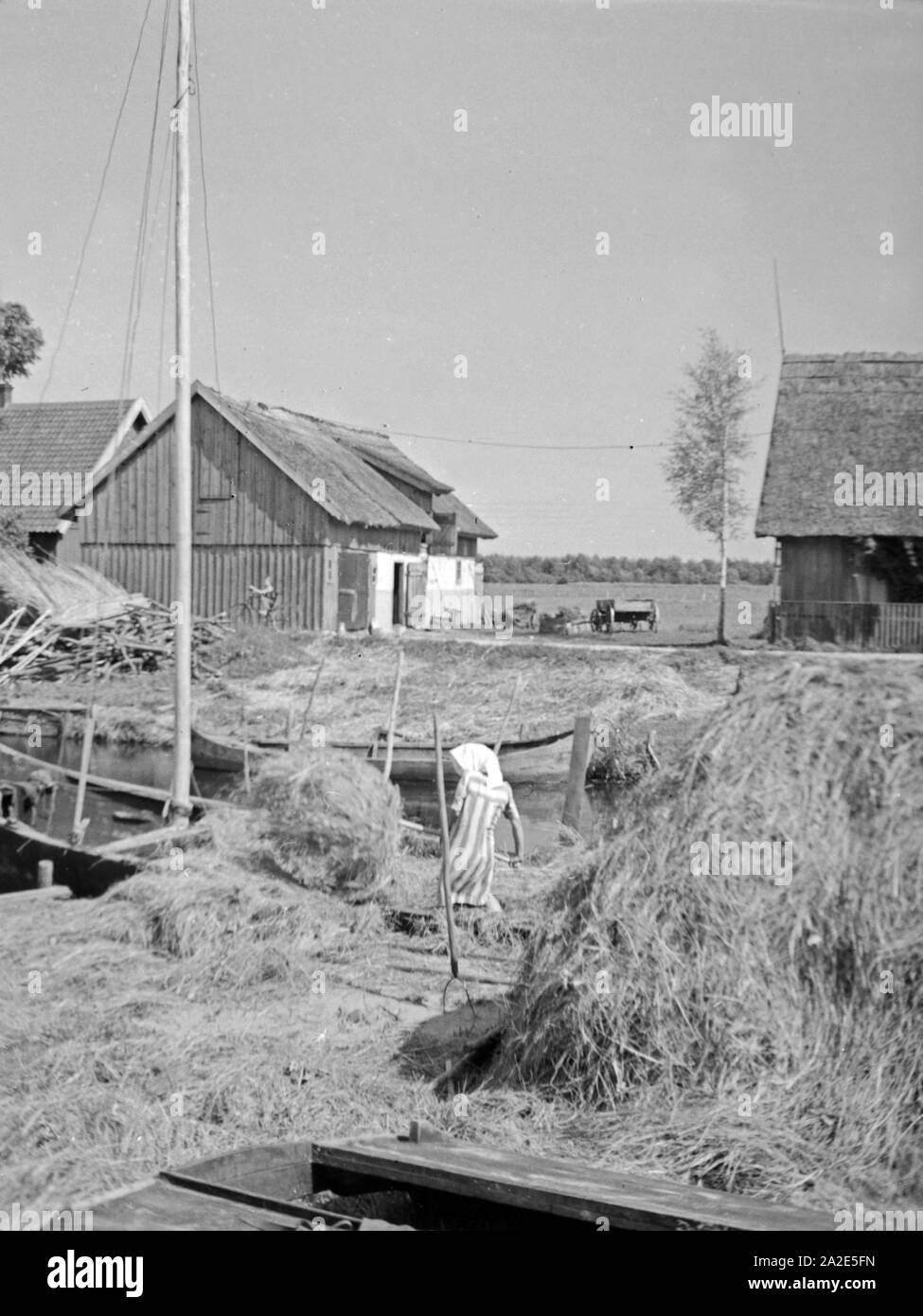 Im Dorf Loye Memeldelta im in Ostpreußen, 1930er Jahre. Nel villaggio Loye nel Memel delta, Prussia orientale, 1930s. Foto Stock Im Dorf Loye Memeldelta im in Ostpreußen, 1930er Jahre. Nel villaggio Loye nel Memel delta, Prussia orientale, 1930s. Foto Stock