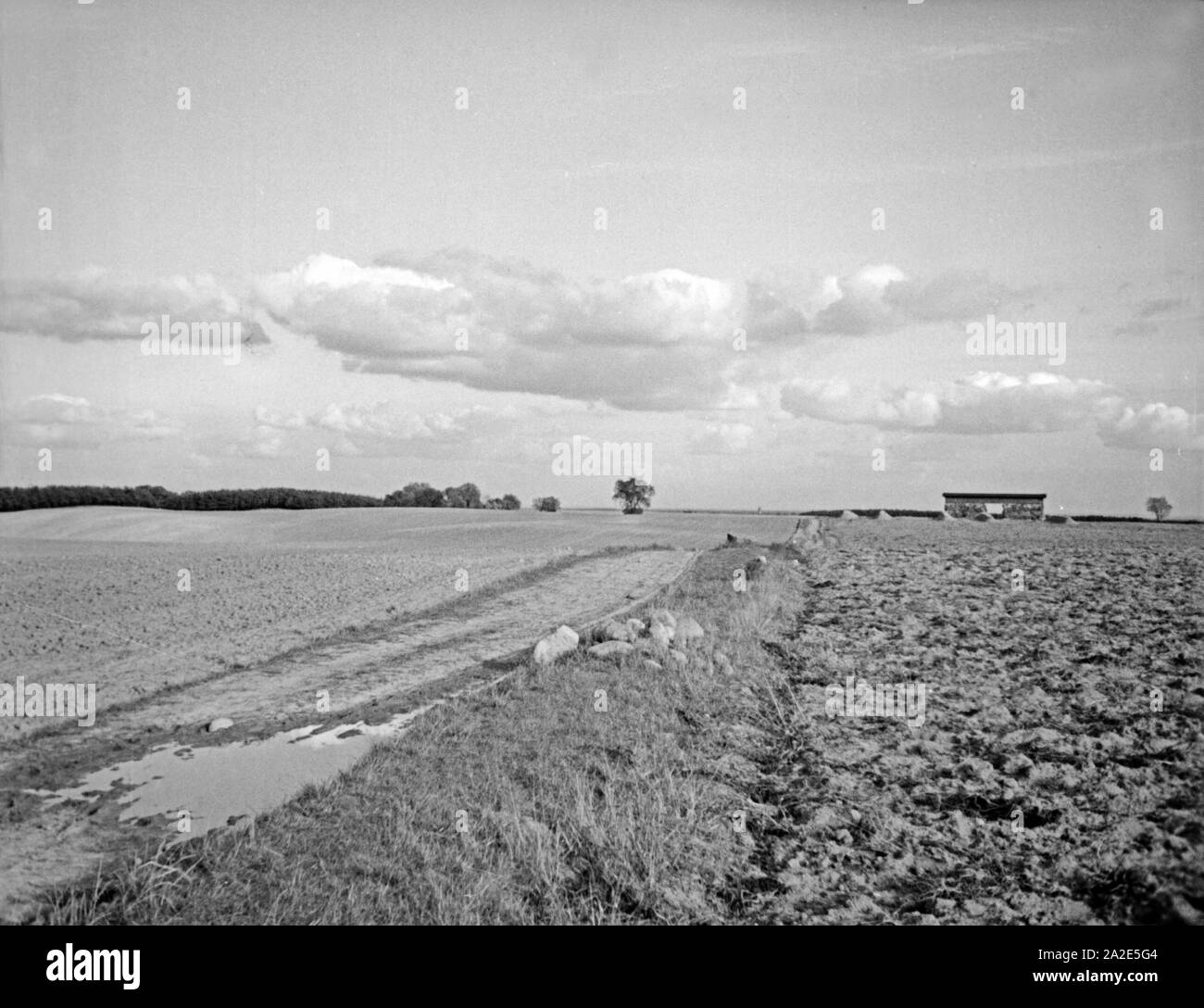Accurbauliche Landschaft südlich von Königsberg, Ostpreußen, 1930er Jahre. Il paesaggio agricolo nel sud di Koenigsberg, Prussia orientale, 1930s. Foto Stock