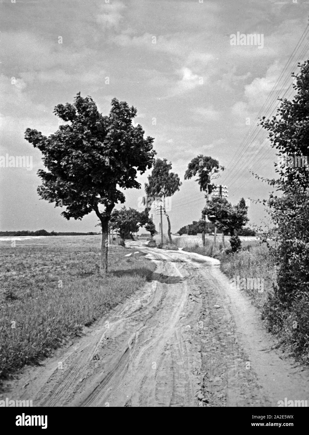Landstraße vor im Sassau Samland, Ostpreußen, 1930er Jahre. Country Road prima Sassau in Zambia, Prussia orientale, 1930s. Foto Stock