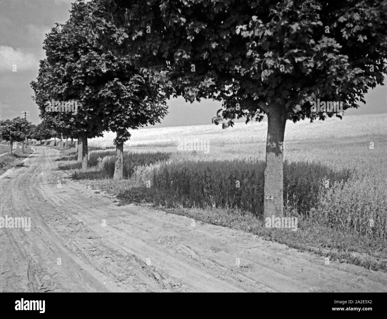 Feldweg bei Lappönen im Samland, Ostpreußen, 1930er Jahre. Vicolo del paese vicino Lappoenen in Zambia, Prussia orientale, 1930s. Foto Stock