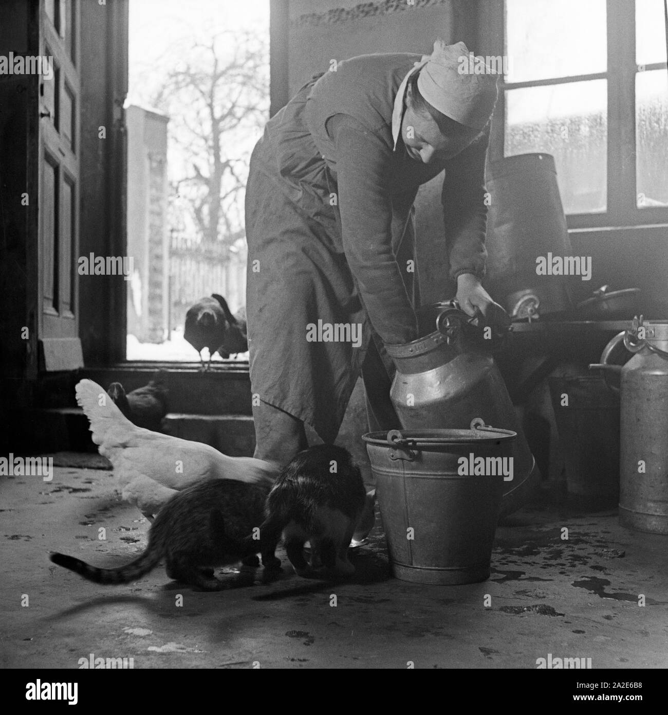Eine Familie füttert Katzen beim weiblichen Arbeitsdienst in Molkenberg bei Fürstenwalde, Deutschland 1930er Jahre. Una famiglia Gatti di alimentazione presso la forza lavoro femminile gruppo di Molkenberg, Germania 1930s. Foto Stock