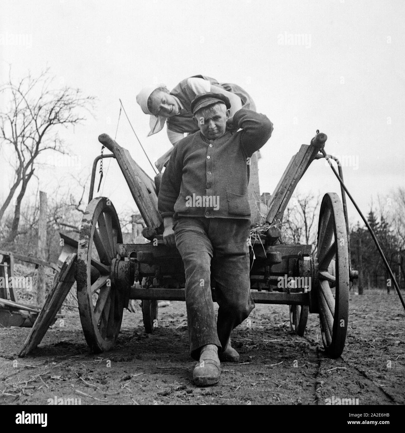 Eine Frau hilft einem Bauern beim weiblichen Arbeitsdienst in Molkenberg bei Fürstenwalde, Deutschland 1930er Jahre. Una donna aiutando un agricoltore presso la forza lavoro femminile gruppo di Molkenberg, Germania 1930s. Foto Stock