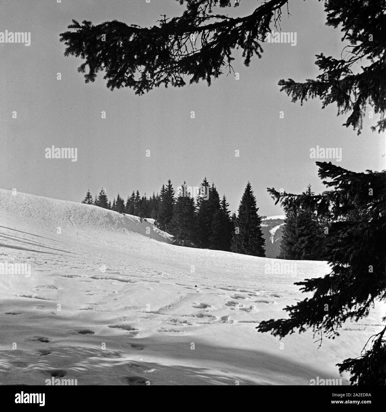 Winterlandschaft mit Spuren im Schnee, Deutschland 1930er Jahre. Il paese delle meraviglie invernali con le tracce nella neve, Germania 1930s. Foto Stock