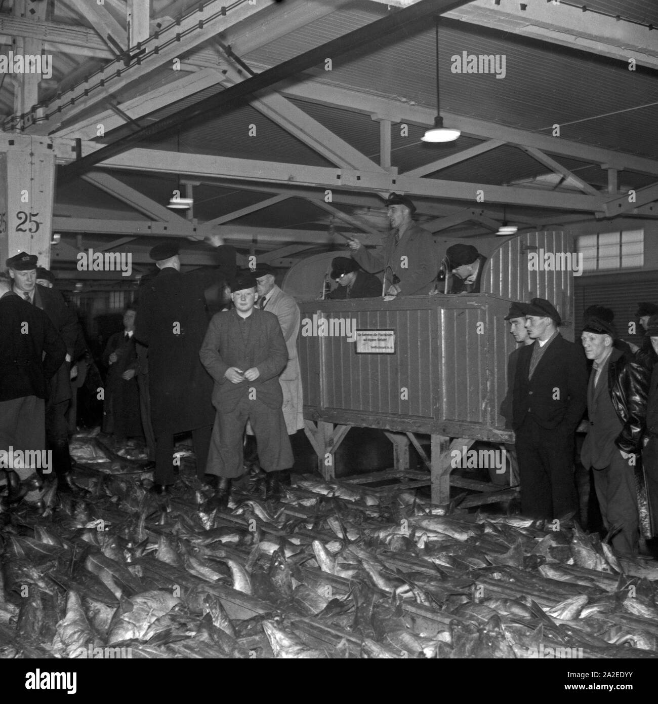 24 Stunden Reportage: Betrieb im Fischereihafen Wesermünde, Deutschland 1930er Jahre. 24 ore la copertura live dal porto di pesca Wesermuende, Germania 1930s. Foto Stock