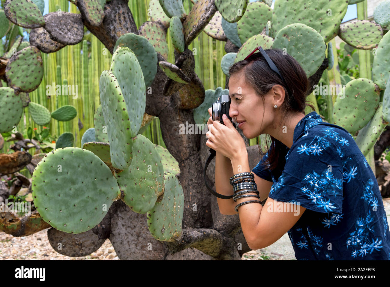 Donna fotografare Cactus. Messico Foto Stock