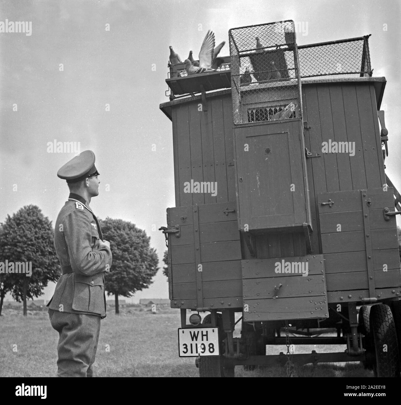 Der Ausbilder Feldwebel schaut nach den Brieftauben in ihrem mobilen Taubenschlag in der Heeres Brieftauben Anstalt in Berlin Spandau, 1930er Jahre. Il trapano sergente sta cercando dopo i piccioni viaggiatori nel loro cellulare colombaia, Berlin Spandau, 1930s. Foto Stock