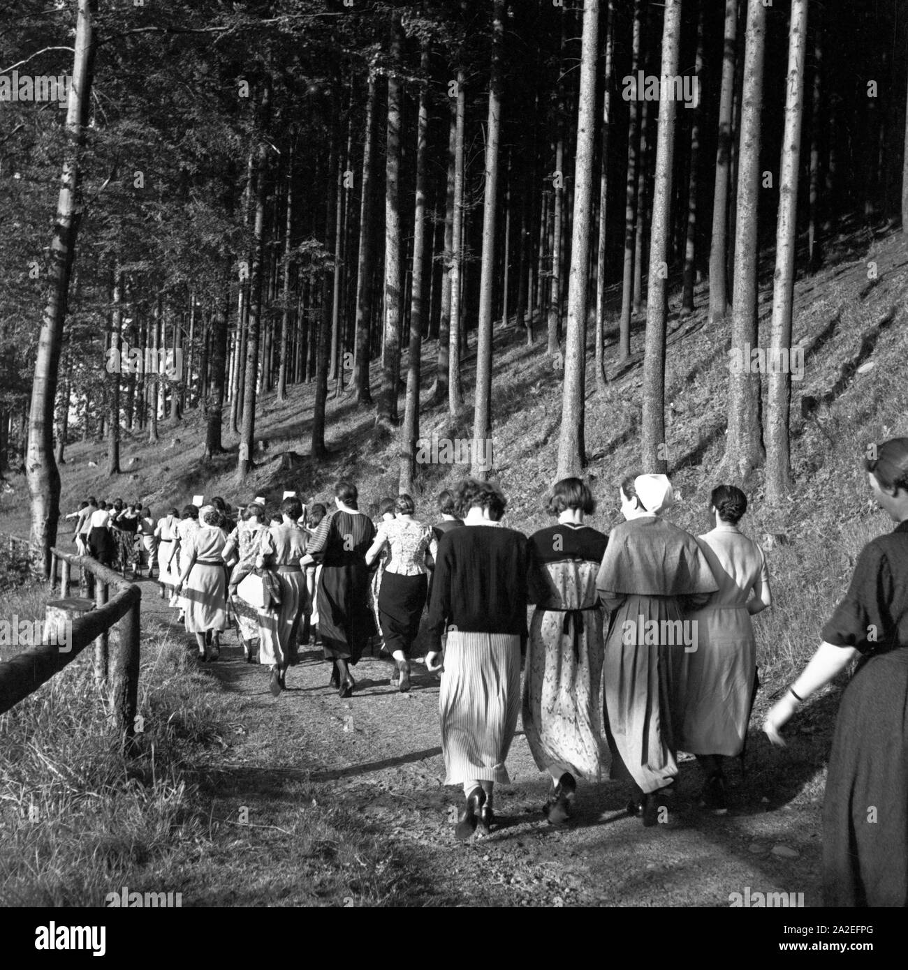 Krankenschwestern mit einer Gruppe Frauen bei einer Wanderung im Rahmen eines Aufenthalts im Mutter und tipo Heim in Tabarz, Thüringer Wald, 1930er Jahre. Gli infermieri con un gruppo di donne vagare attraverso la foresta mentre è in trattamento a donne e ricreazione del bambino a casa a Tabarz, Turingia, 1930s. Foto Stock