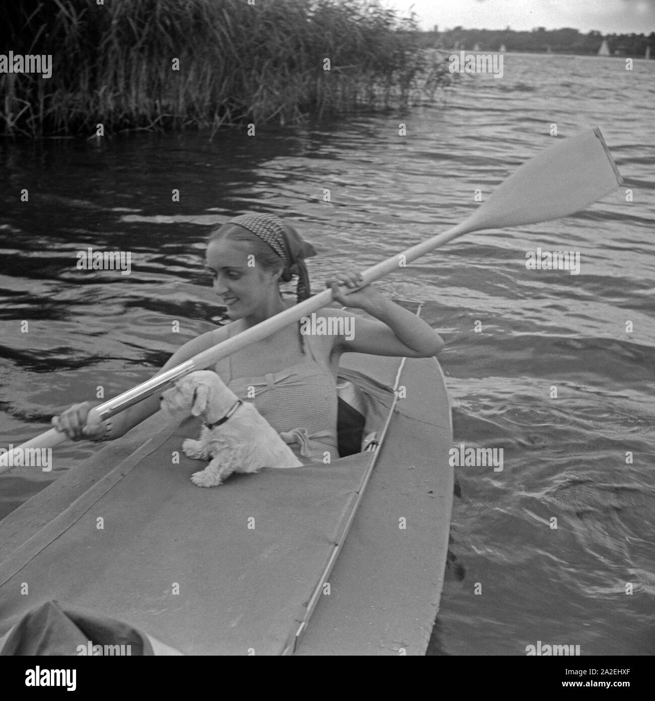 Werbefoto für das Klepper Faltboot: eine junge Frau paddelt Mit einem Welpen auf einem vedere, Deutschland 1930er Jahre. Pubblicità für un Klepper foldboat: una giovane donna con un cucciolo pagaiando su un lago, Germania 1930s. Foto Stock