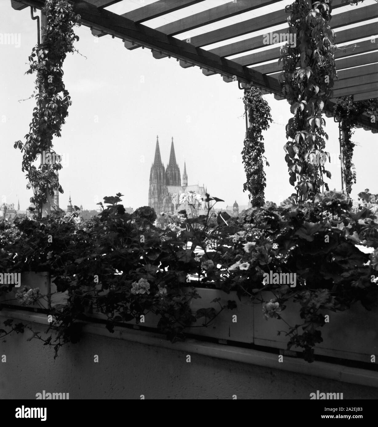 Blick auf die Altstadt mit Dom und Kirche Groß San Martin von Deutz aus, wahrscheinlich vom Ausflugslokal Sünner Terrassen, 1930er Jahre Foto Stock