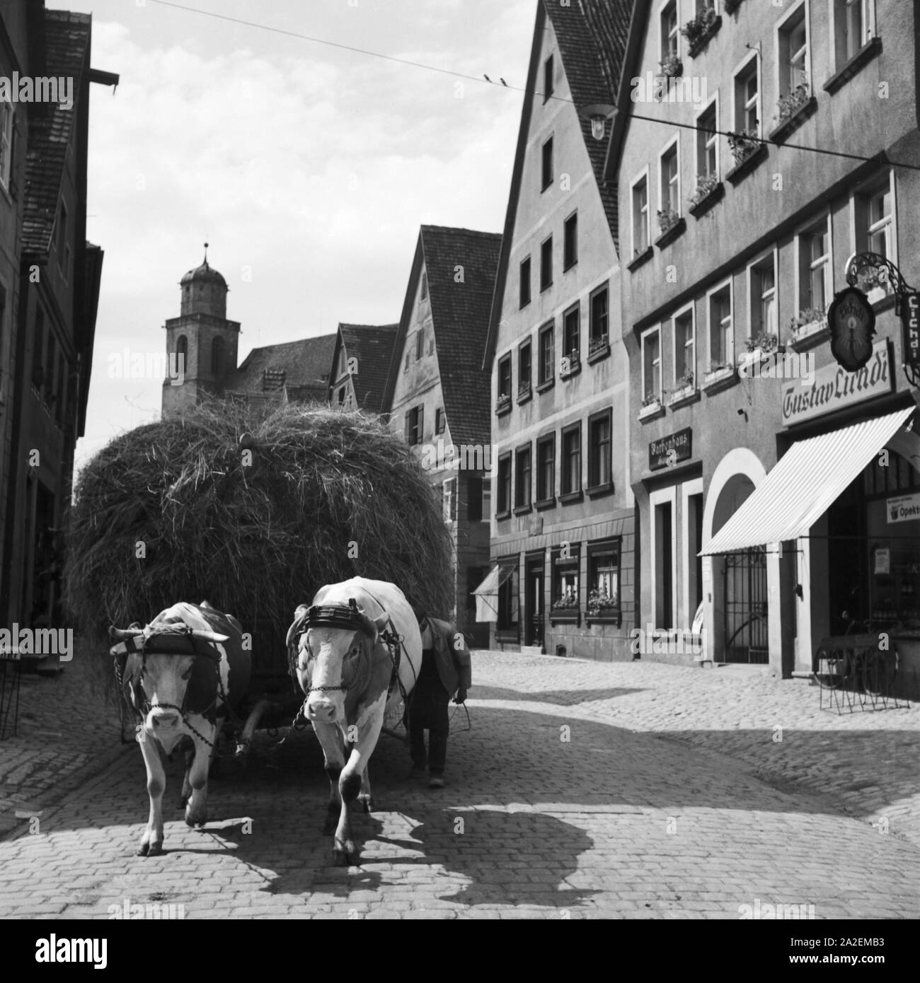 Ochsengespann unterwegs vor der Georgskirche di Dinkelsbühl, Deutschland 1930er Jahre. Buoi carrello nelle strade vicino a St. Georg la chiesa a Dinkelsbuehl, Germania 1930s. Foto Stock