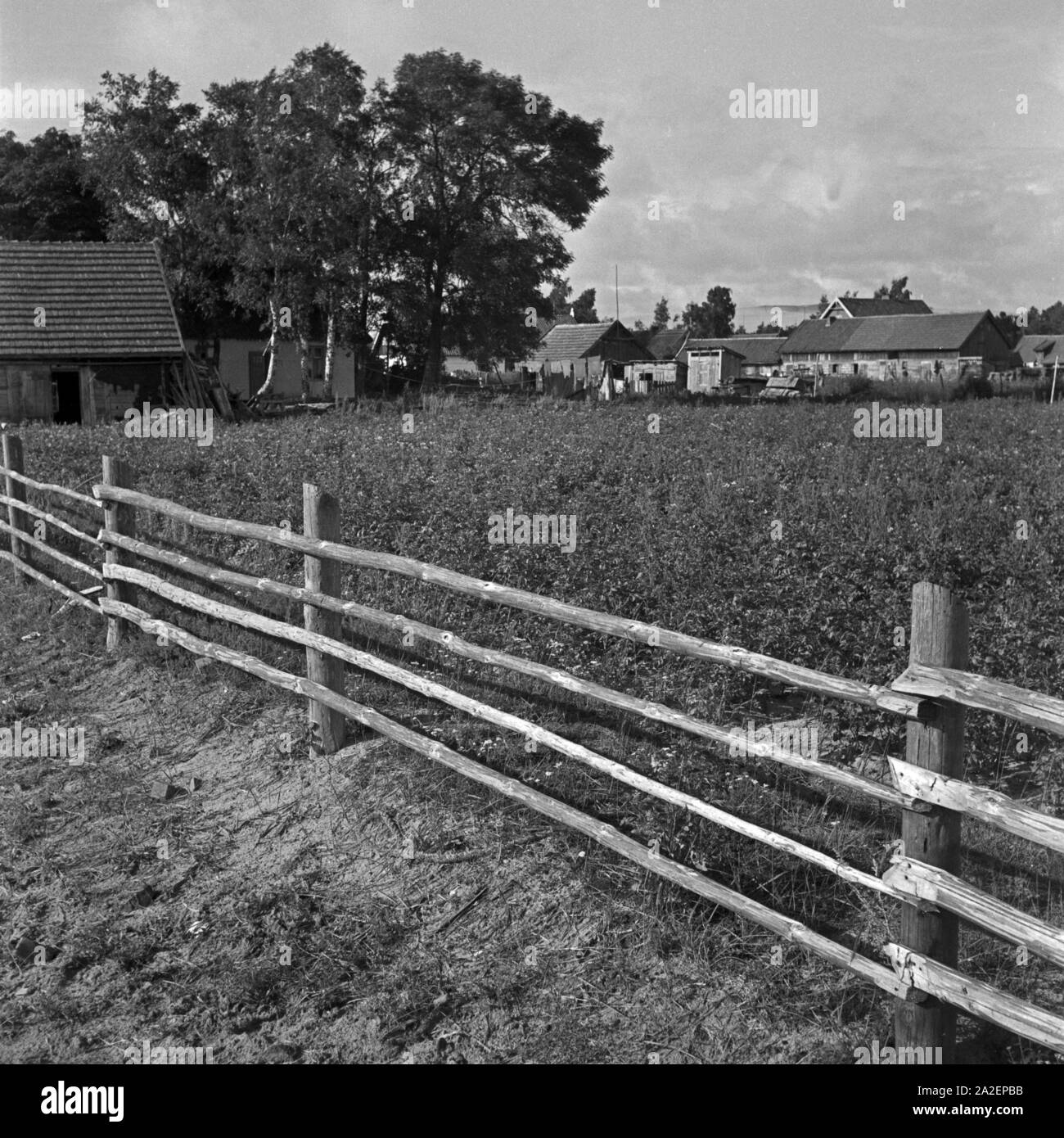 Bäuerliche Siedlung an der Kurischen Nehrung in Ostpreußen, Deutschland 1930er Jahre. Insediamento rurale vicino a Courland Split nella Prussia orientale, Germania 1930s. Foto Stock