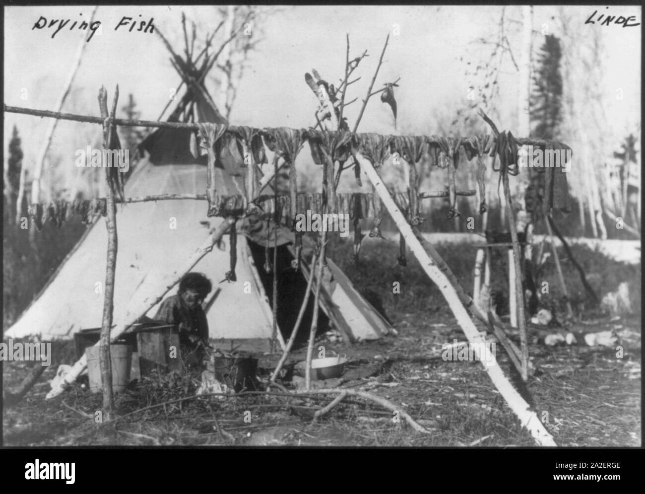 Anziani donna indiana al di fuori teepee, con pesce essiccazione su pali in primo piano Foto Stock