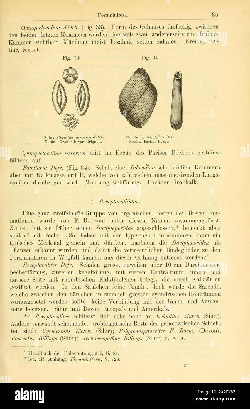 Elemente der palaeontologie (pagina 35, Figg. 33-34) Foto Stock