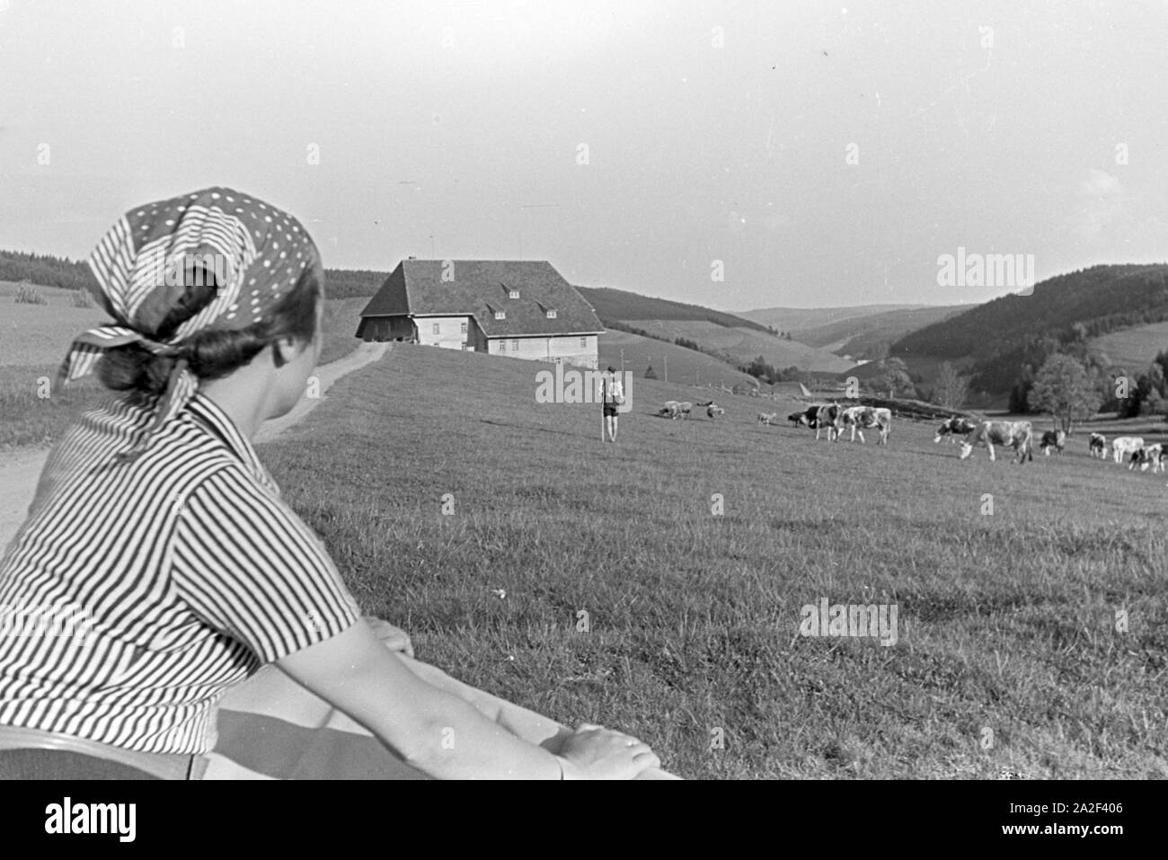 Der Blick über die Weide auf den Furtwängler Hof im Schwarzwald, Deutschland 1930er Jahre. Vista sopra il pascolo ai Furtwängler Hof nella Foresta Nera, Germania 1930s. Foto Stock