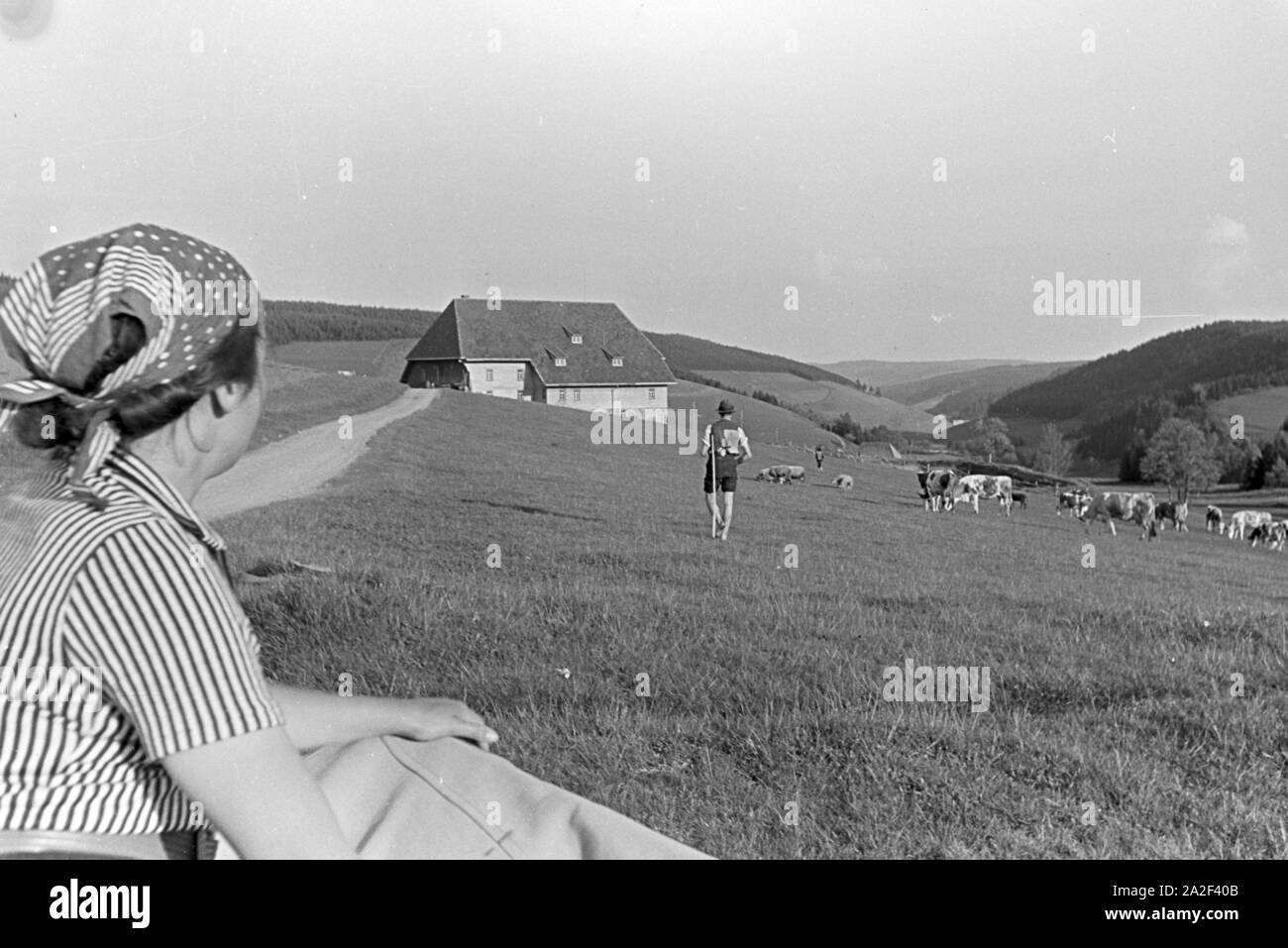 Der Blick über die Weide auf den Furtwängler Hof im Schwarzwald, Deutschland 1930er Jahre. Vista sopra il pascolo ai Furtwängler Hof nella Foresta Nera, Germania 1930s. Foto Stock