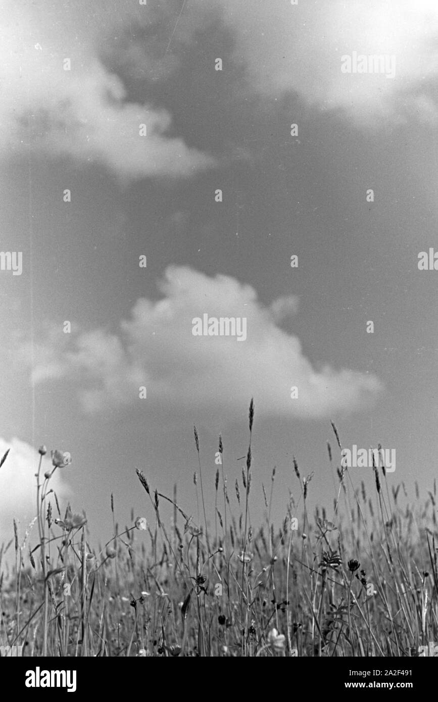 Weite Der Himmel über dem Schwarzwald, Deutschland 1930er Jahre. L'ampio Cielo sopra la Foresta Nera, Germania 1930s. Foto Stock