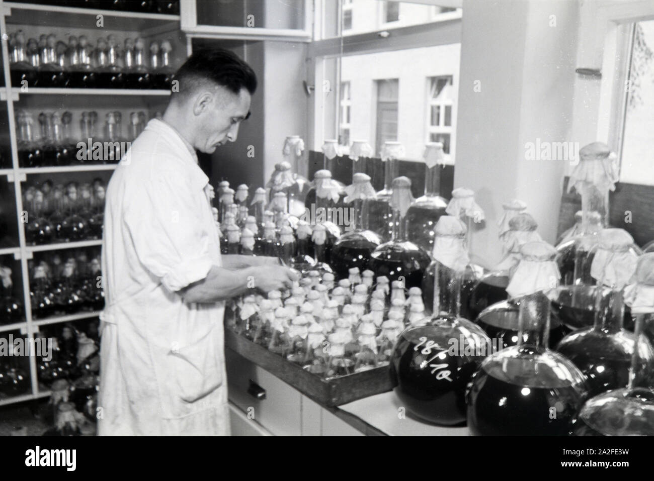 Ein Laborant beschriftet abgefüllte Medikamentenproben in einem manodopera der Behringwerke, Marburg, Deutschland 1930er Jahre. Un assistente di laboratorio è la marcatura di medicina in bottiglia di campioni in un laboratorio del Behringwerke, Marburg, Germania 1930s. Foto Stock