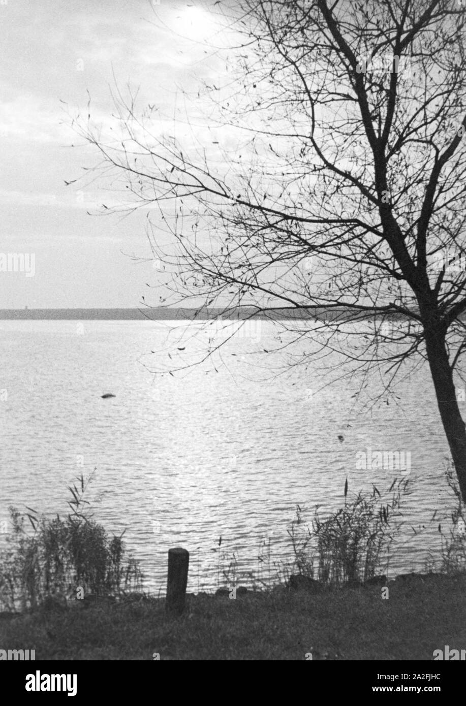 Un Uferlandschaft einem vedere, Deutschland 1930er Jahre. Il lago con una spiaggia, Germania 1930s. Foto Stock