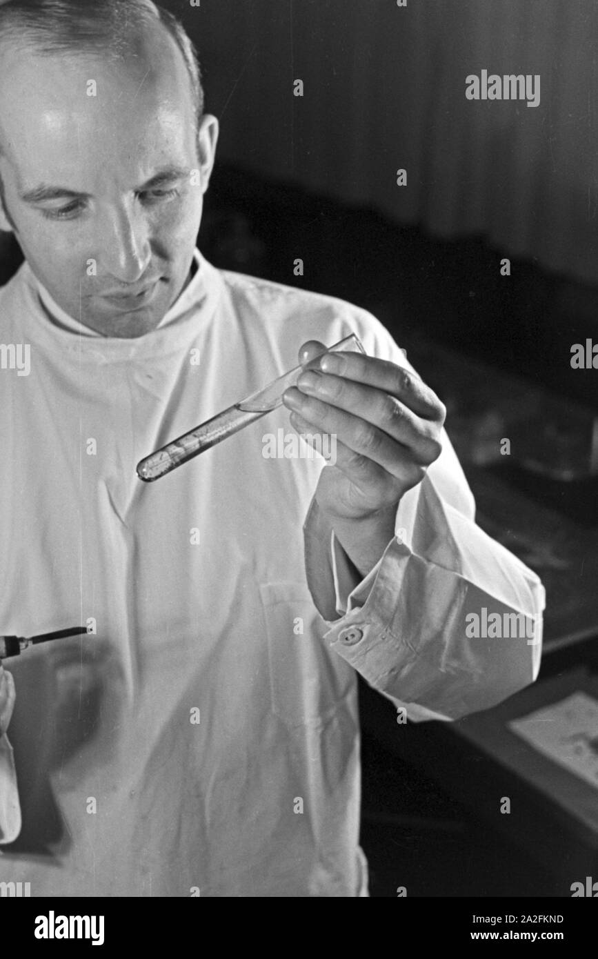 Wissenschaftlicher Mitarbeiter Mit einem gefüllten Reagenzglas, Deutschland 1930er Jahr: personale scientifico gli stati con una prova riempito di vetro, Germania 1930s. Foto Stock