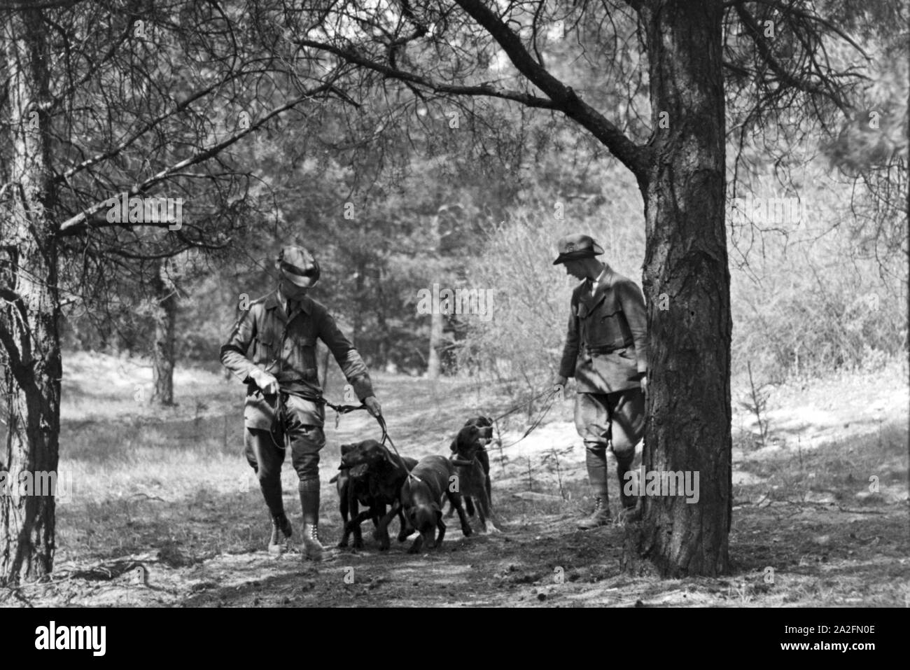Zwei Förster unterwegs im Wald mit ihren Hunden, Deutschland 1930er Jahre. Due operai forestali con cani theiro nel legno, Germania 1930s. Foto Stock