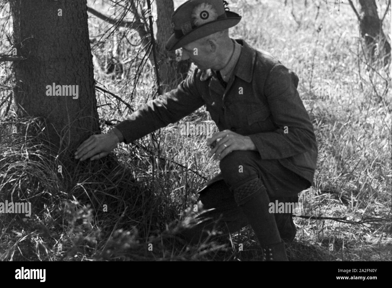 Förster im Wald, Deutschland 1930er Jahre. Guardaboschi in legno, Germania 1930s. Foto Stock