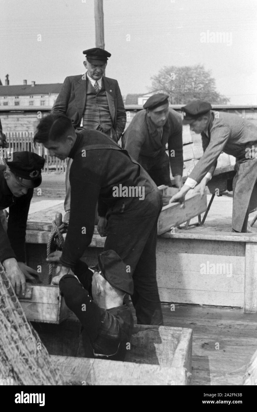 Ein Fischerboot kommt mit Frischfisch vom fanz zurück, Deutschland 1930er Jahre. Fisherboat tornando con pesce fresco al porto, Germania 1930s. Foto Stock