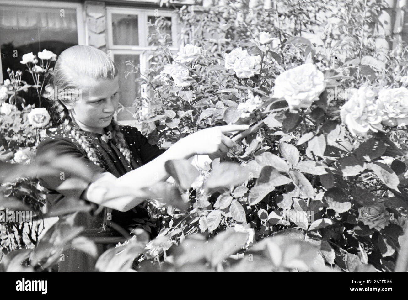 Schülerin des Kolonial Schülerheims Harzburg bei der Gartenarbeit, Deutsches Reich 1937. Studente del coloniale scuola residenziale Harzburg lavora in giardino; Germania 1937. Foto Stock