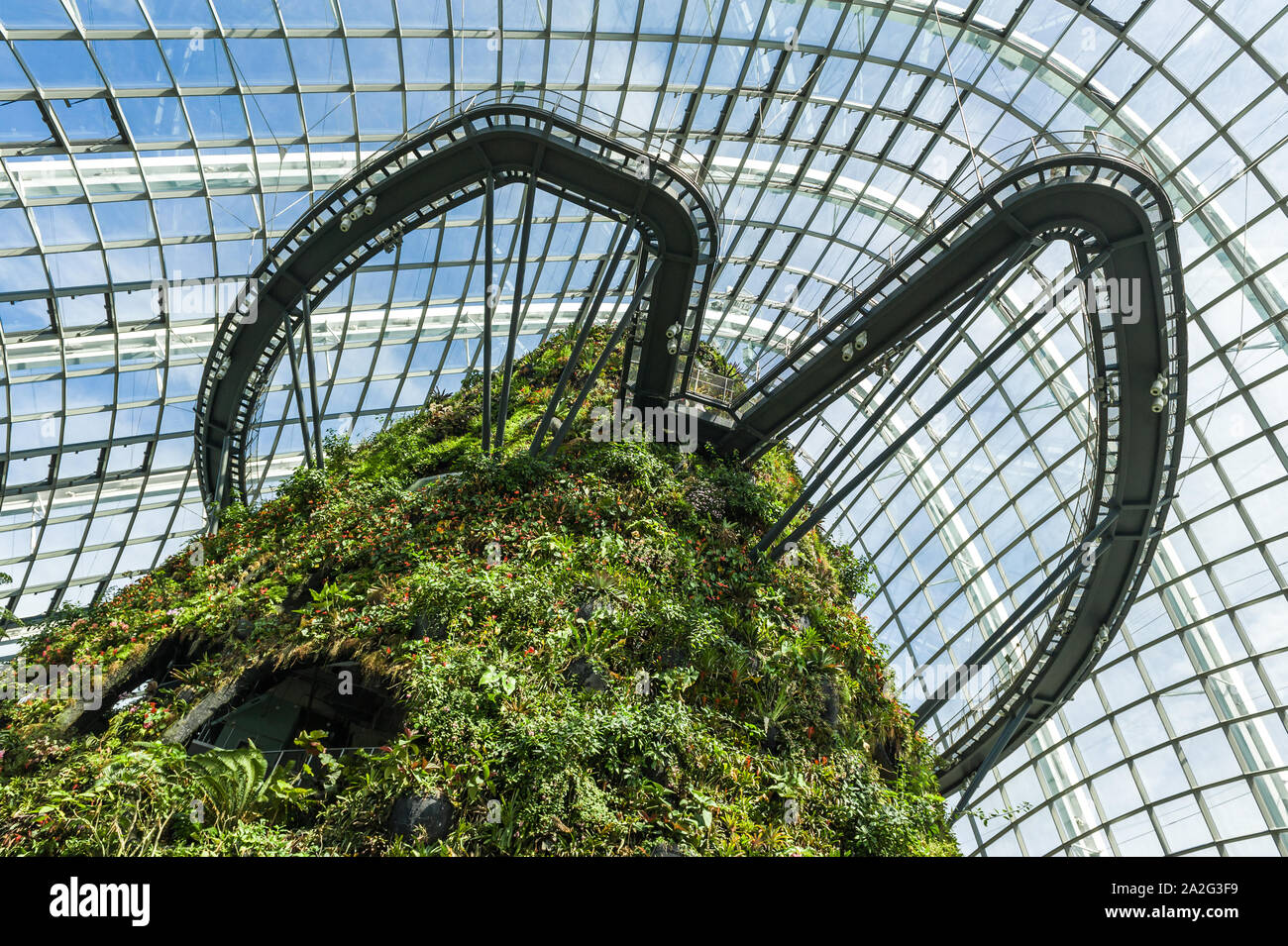 Singapore, 28 SET 2012: interno del Cloud Forest cupola a giardini dalla Baia di Singapore. Foto Stock