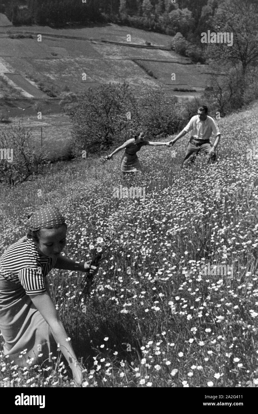 Ein Ausflug in den Schwarzwald, Deutsches Reich 1930er Jahre. Un'escursione nella Foresta Nera, in Germania 1930s. Foto Stock