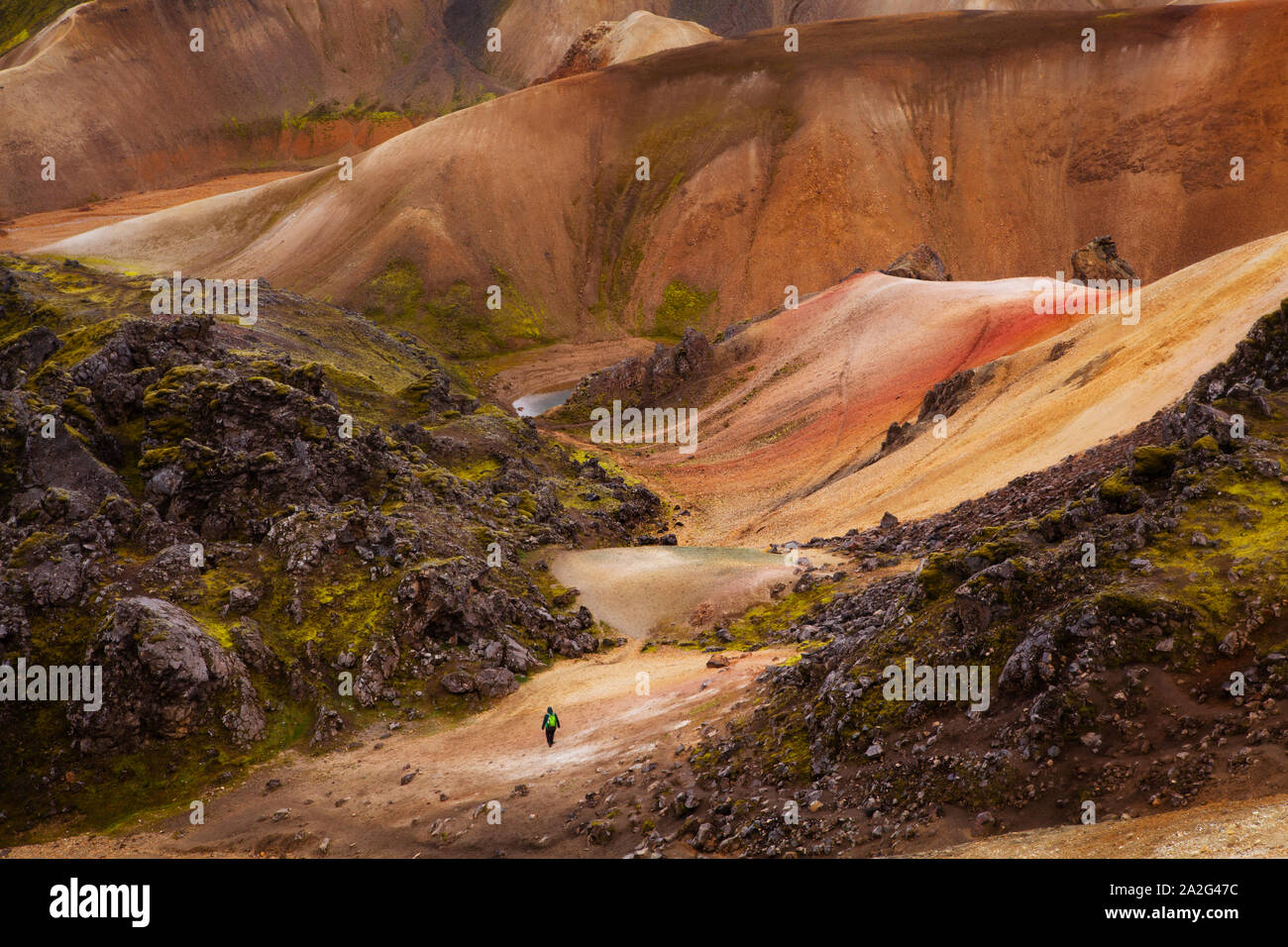 Escursionista nella surreale, paesaggio colorato a Landmannalaugar, Islanda Foto Stock
