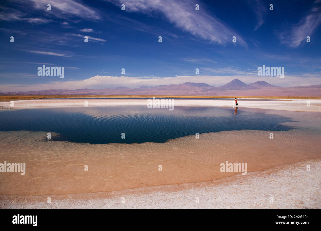 Laguna Cejar, sale laguna di acqua nel deserto di Atacama, Salar De Atacama, San Pedro de Atacama, Regione di Antofagasta, Cile. Foto Stock