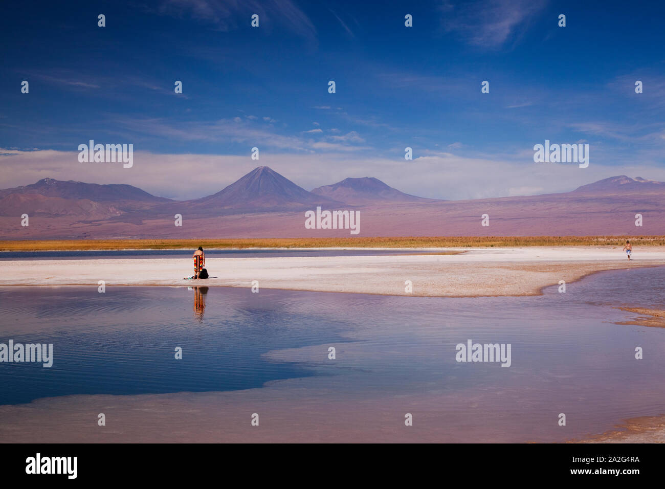 Laguna Cejar, sale laguna di acqua nel deserto di Atacama, Salar De Atacama, San Pedro de Atacama, Regione di Antofagasta, Cile. Foto Stock