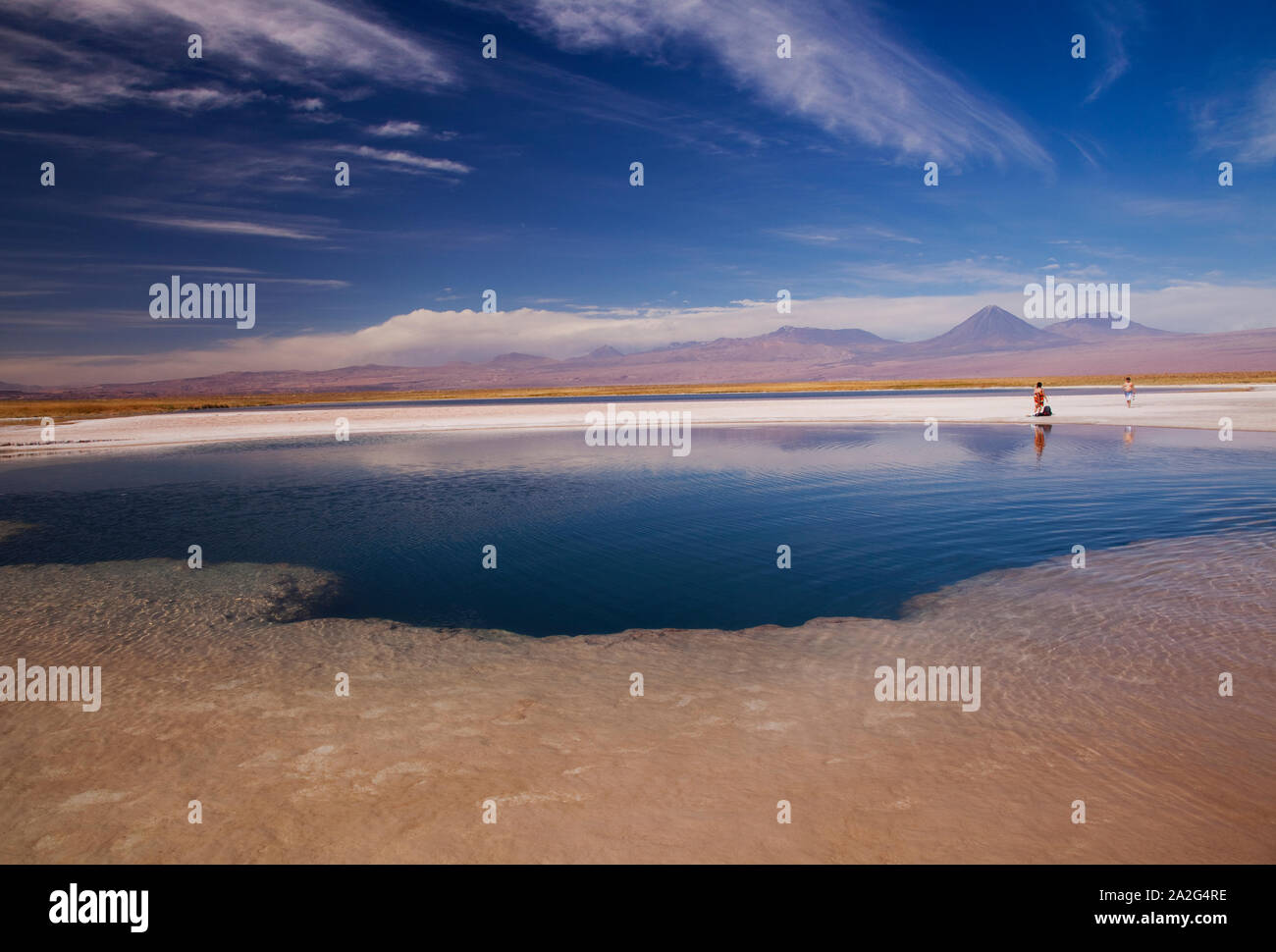 Laguna Cejar, sale laguna di acqua nel deserto di Atacama, Salar De Atacama, San Pedro de Atacama, Regione di Antofagasta, Cile. Foto Stock