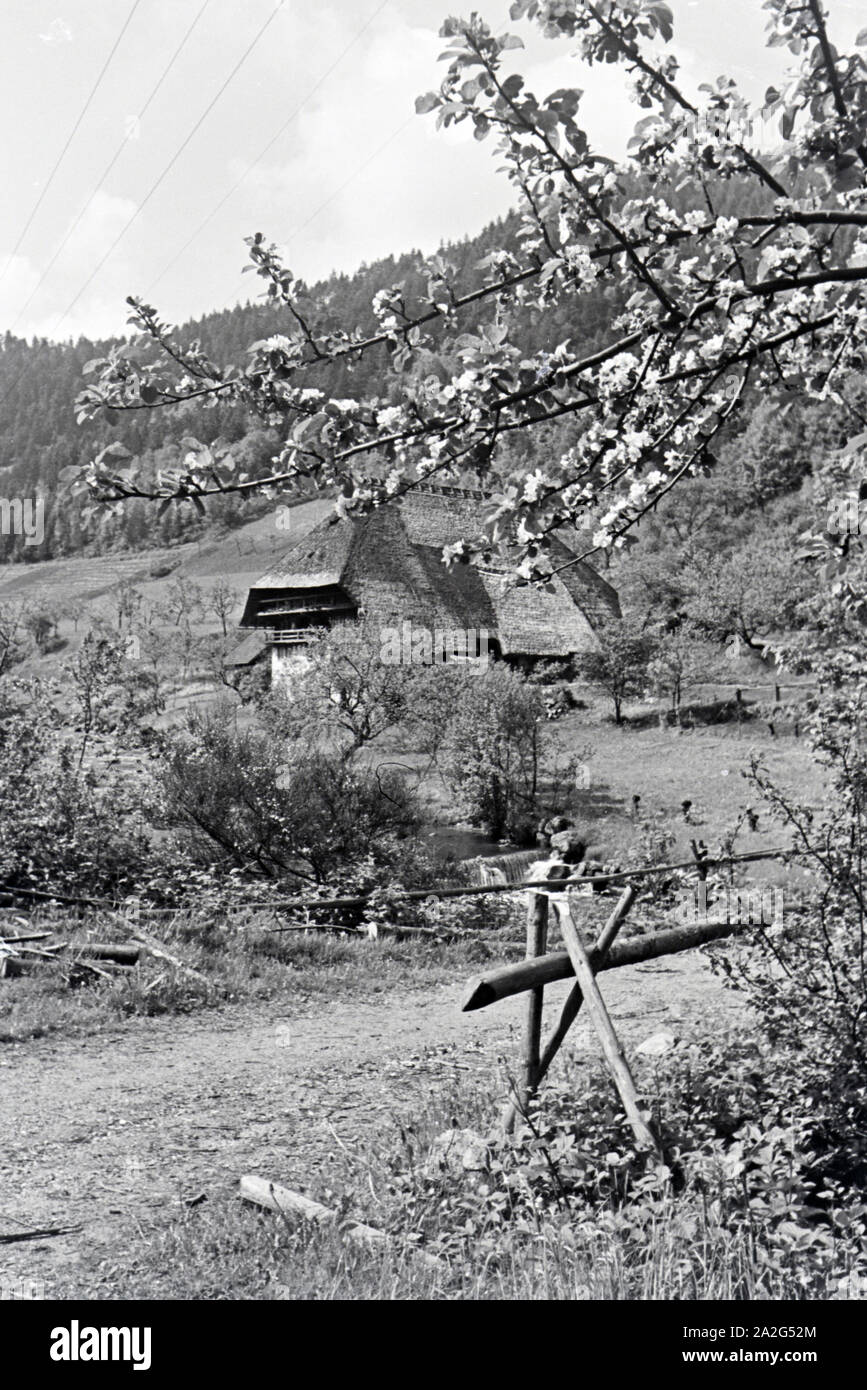 Ein Ausflug in den Schwarzwald, Deutsches Reich 1930er Jahre. Un'escursione nella Foresta Nera, in Germania 1930s. Foto Stock