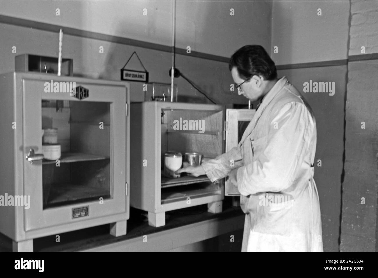 Ein Konserventechniker un einem Brutschrank im lavoro Konserventechnikum im a Magdeburgo, Deutschland 1930er Jahre. Un ingegnere di cibo in un incubatore con cibi in scatola presso il centro tecnico a Magdeburgo, Germania 1930s. Foto Stock