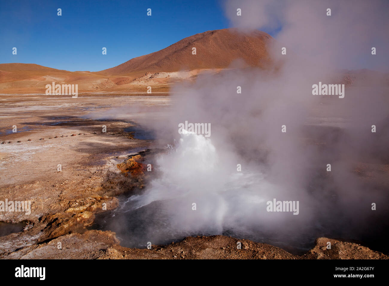 El Tatio geyser, San Pedro de Atacama, Cile. Foto Stock