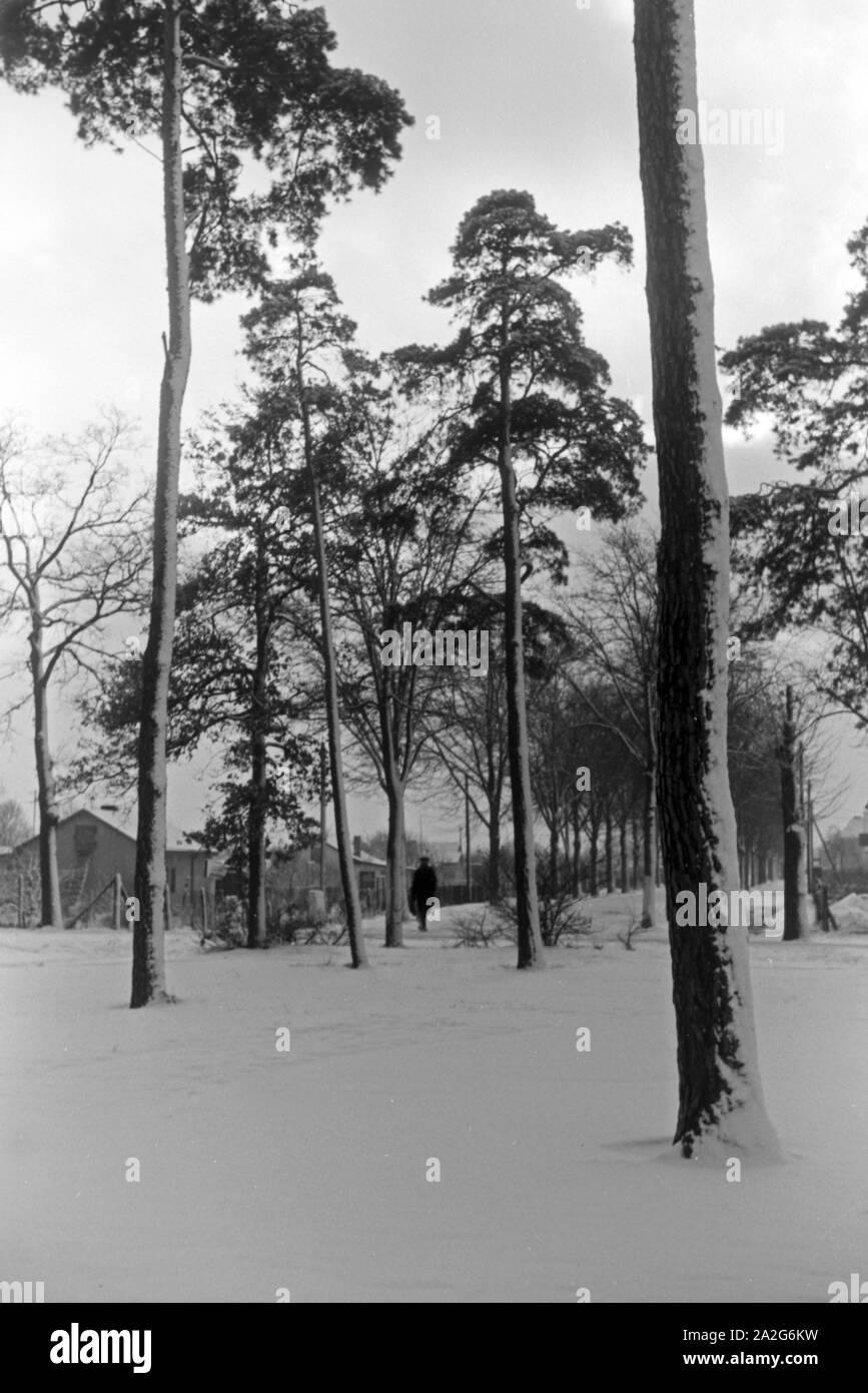 Ein Mann geht alleine durch eine Allee zugeschneiter Bäume im Winter, Deutschland 1930er Jahre. Un uomo a camminare da soli verso il basso un vicolo in inverno, Germania 1930s. Foto Stock