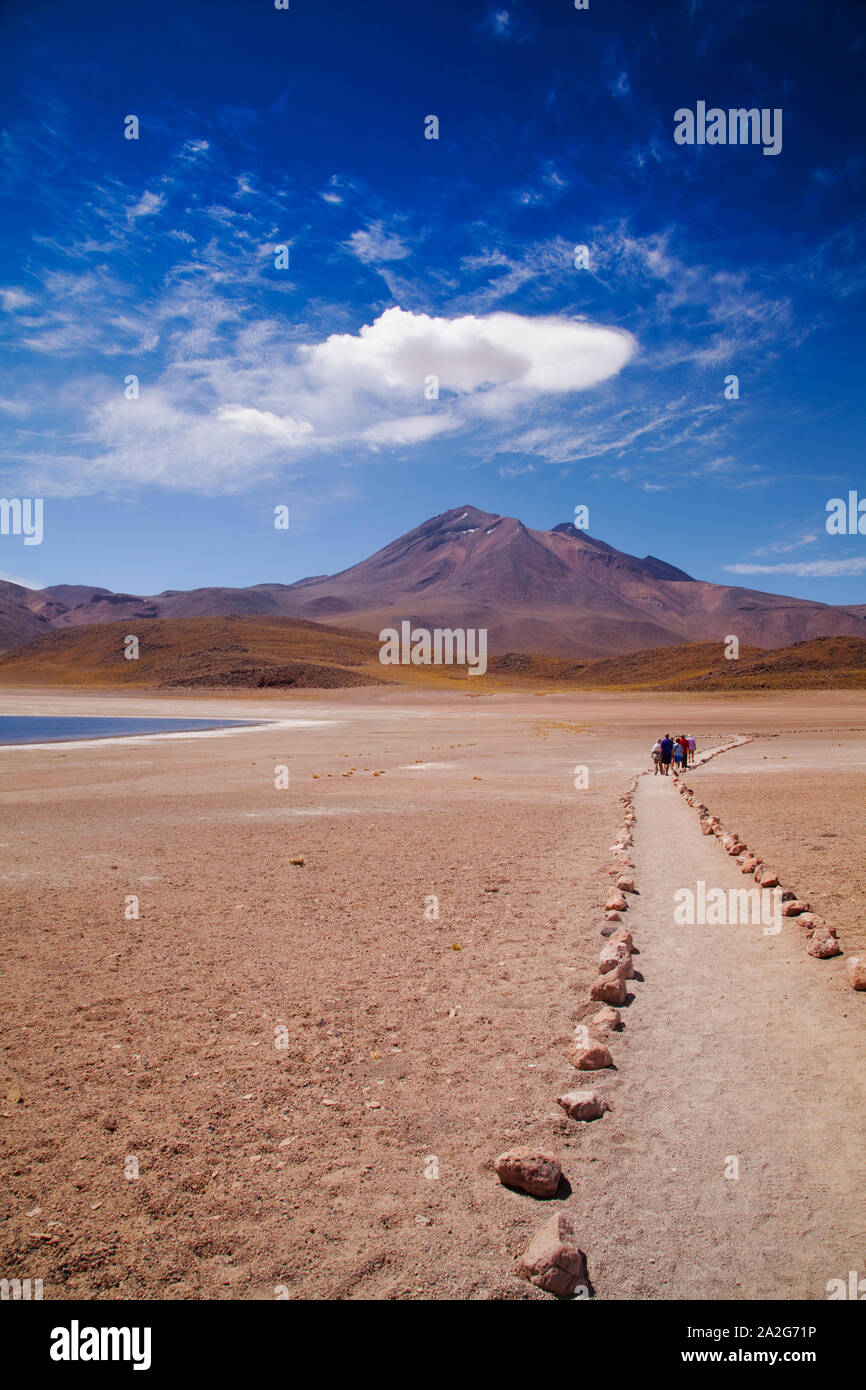 Percorso ad Aguas Calientes Laguna, deserto di Atacama, Cile Foto Stock