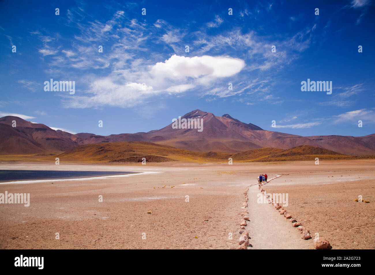Percorso ad Aguas Calientes Laguna, deserto di Atacama, Cile Foto Stock