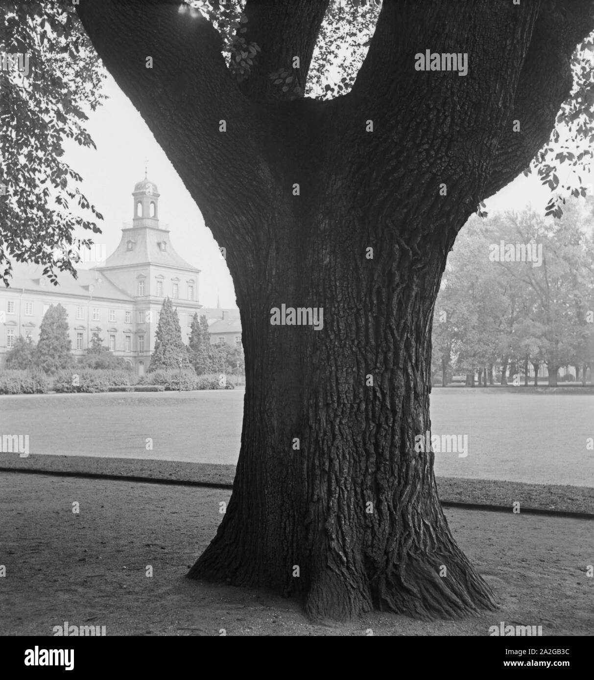 Blick auf den Hof der Rheinischen Friedrich Wilhelms Universität di Bonn, Deutschland 1930er Jahre. Il cortile di Rheinische Friedrich Wilhelms university a Bonn, Germania 1930s. Foto Stock Blick auf den Hof der Rheinischen Friedrich Wilhelms Universität di Bonn, Deutschland 1930er Jahre. Il cortile di Rheinische Friedrich Wilhelms university a Bonn, Germania 1930s. Foto Stock