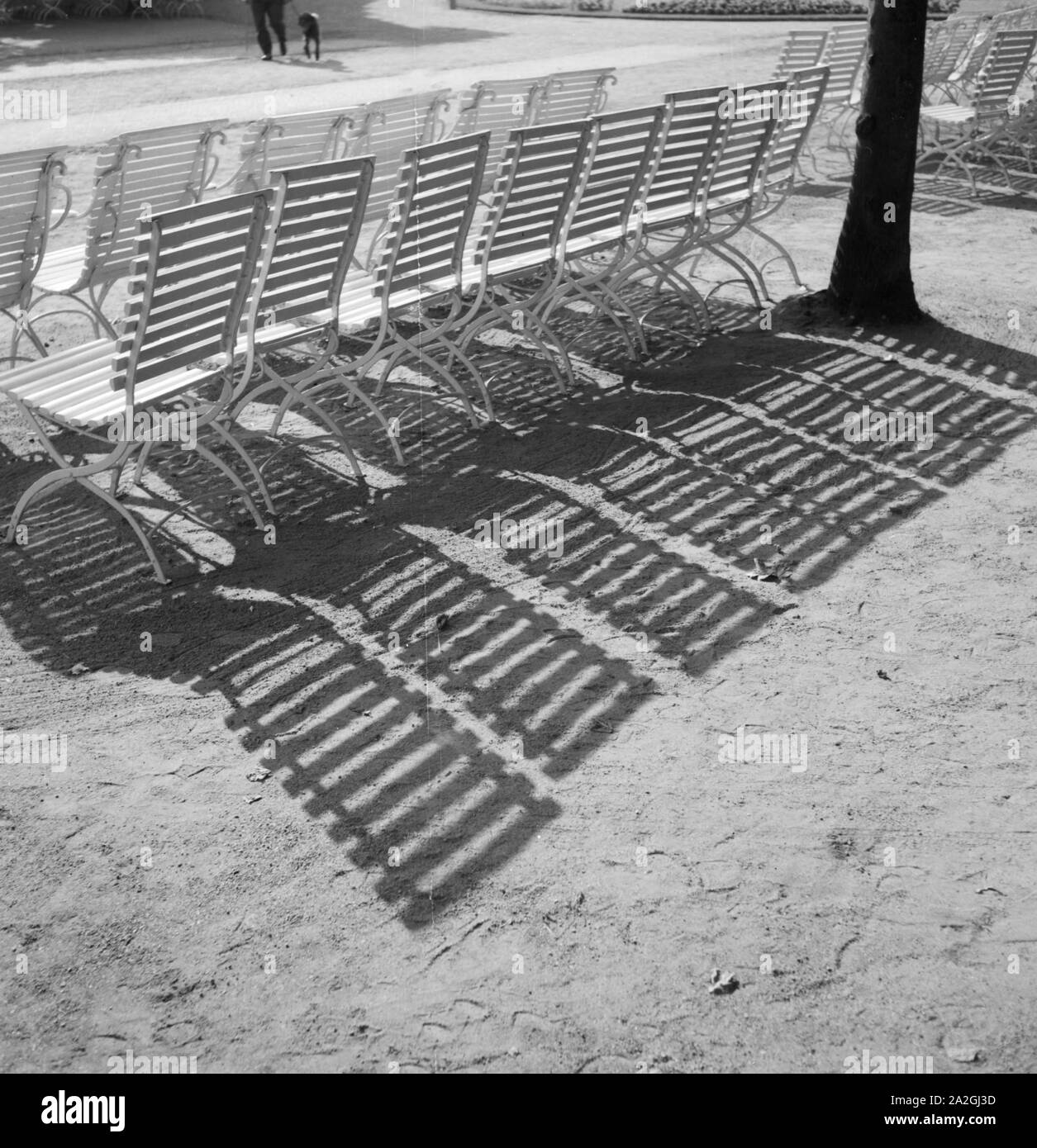 Stühle werfen ihren Schatten in der Sonne di Bad Salzuflen, Deutschland 1930er Jahre. Sedie e la loro ombra nel sole a Bad Salzuflen i giardini del centro termale, Germania 1930s. Foto Stock