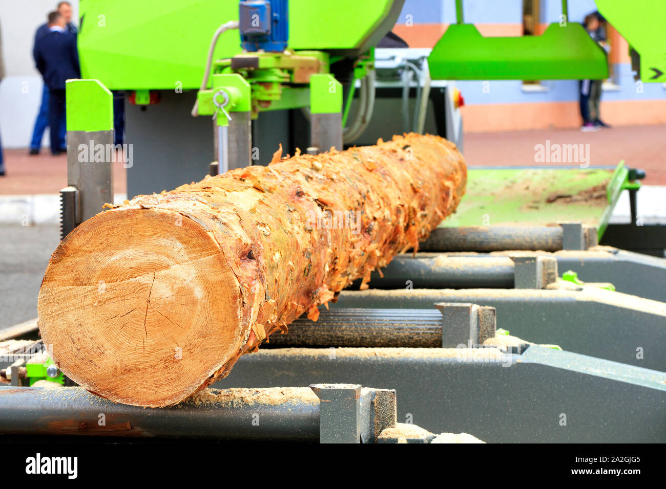 Macchine per la lavorazione del legno, legname, tavole di pino sarà costituito da registri di grandi dimensioni a un moderno segheria automatica. Foto Stock