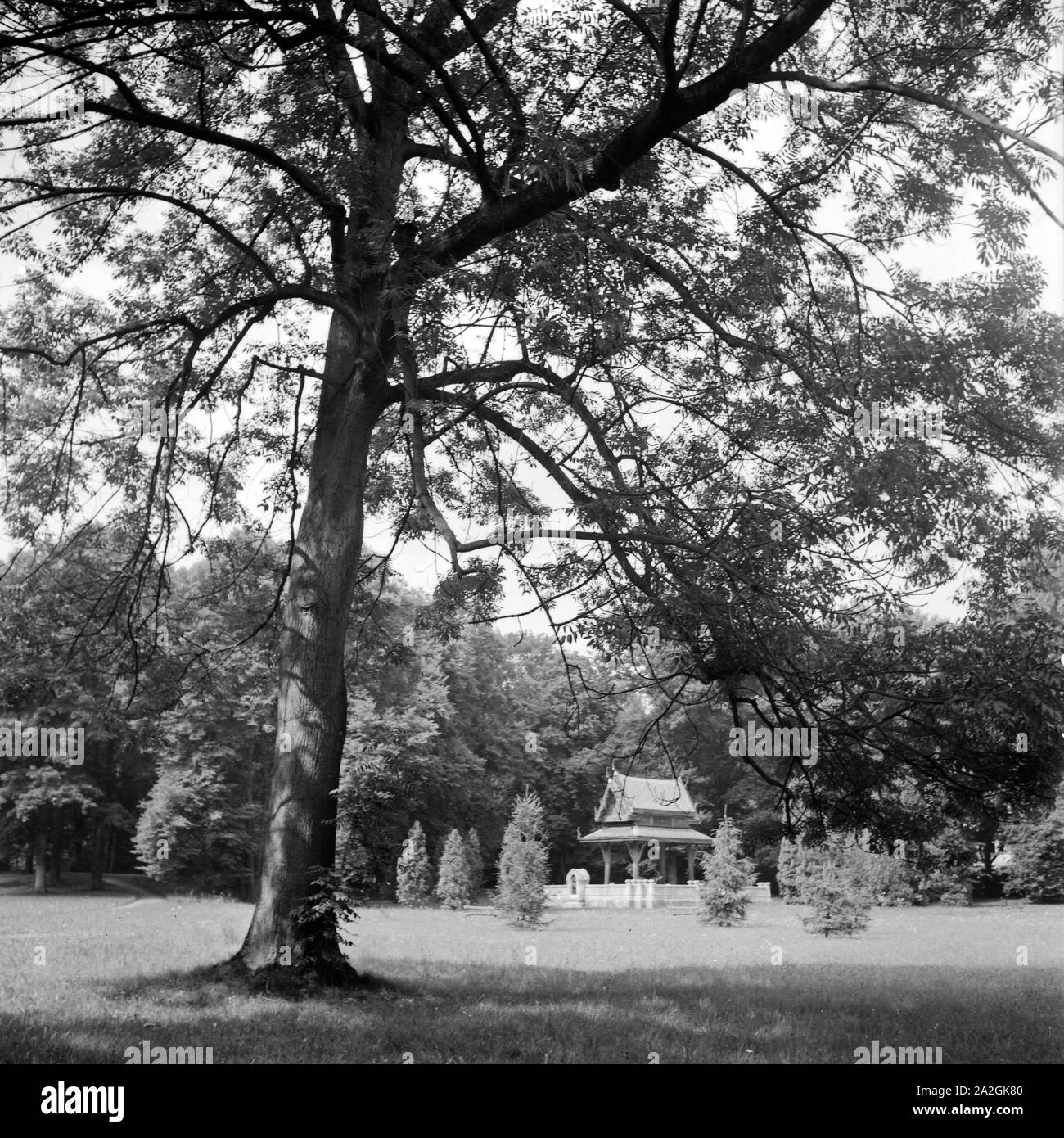 Der Sala Tailandese Tempel in einem von Kurpark Bad Homburg, Deutschland 1930er Jahre. Siamese Sala Tailandese tempio a Bad Homburg i giardini del centro termale, Germania 1930s. Foto Stock