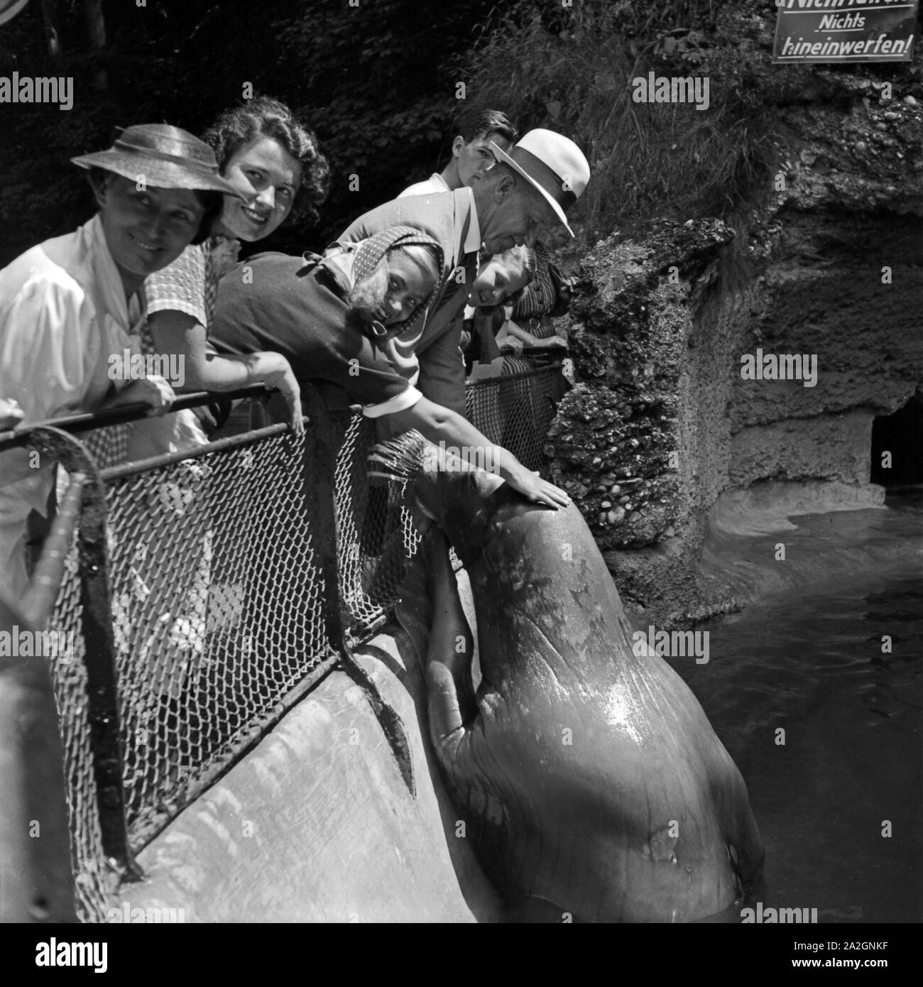 Zoobesucher am Seehunde und Walroßgehege, Deutschland 1930er Jahre. I visitatori di un giardino zoologico di arrivare in corrispondenza della guarnizione e composto di tricheco, Germania 1930s. Foto Stock