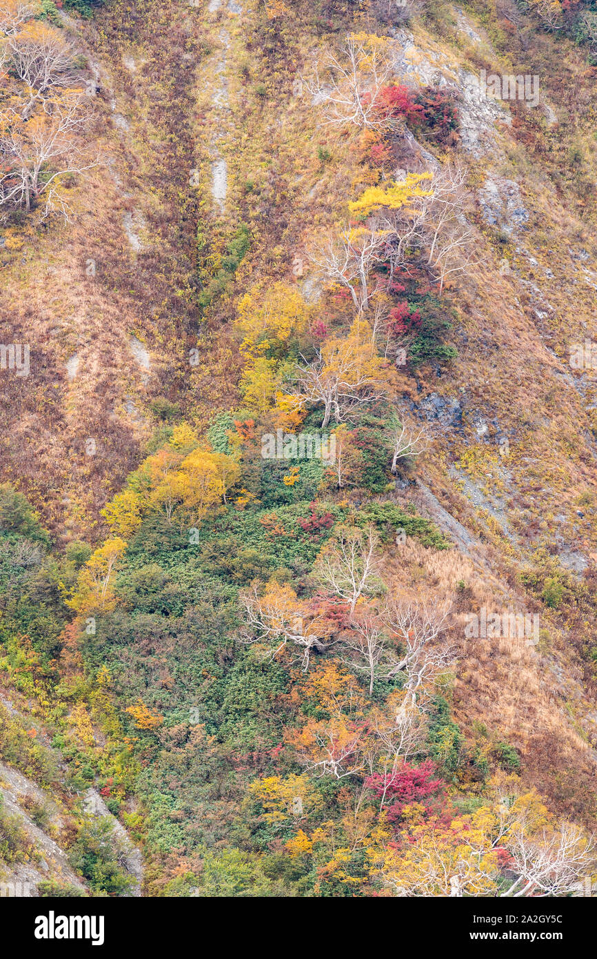 Paesaggio di autunno autunno di Hakuba Valley in Nagano Giappone Chubu Foto Stock